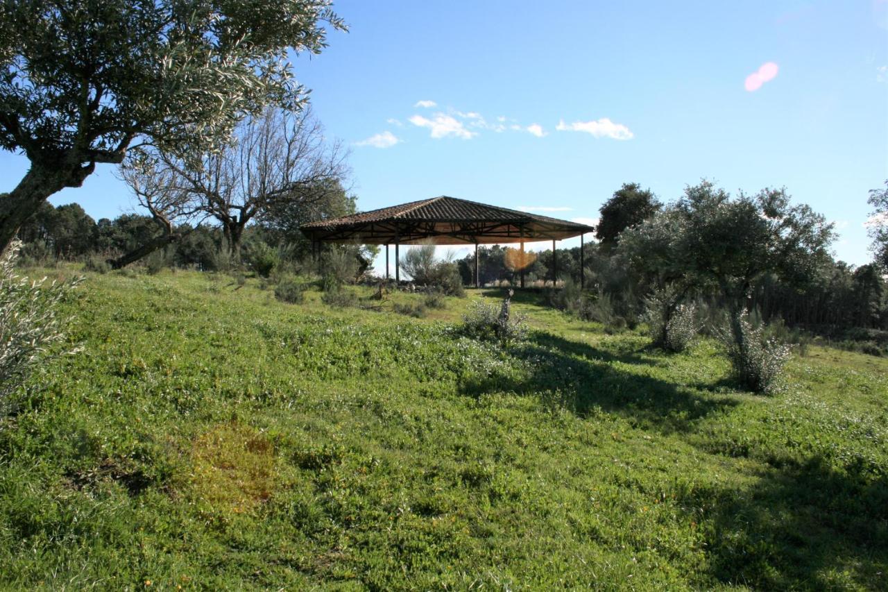 Casa Rural - Complejo El Tejar De Las Canadas Candeleda Ngoại thất bức ảnh
